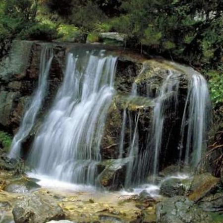 La Candela Cercedilla Dış mekan fotoğraf